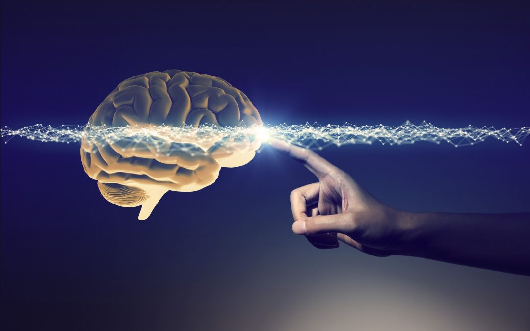 Aprenda como aplicar o neuromarketing em suas estratégias!